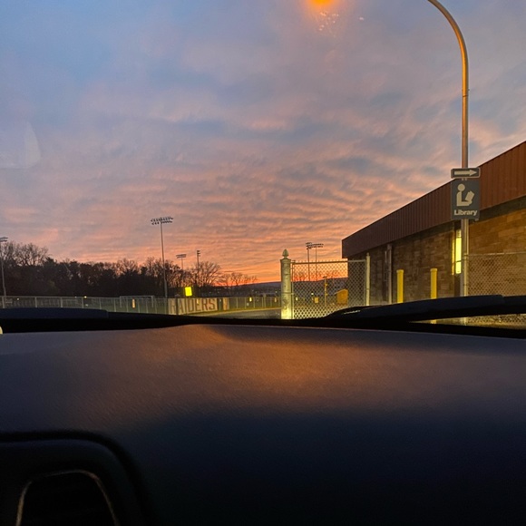 Meet your Posher, Lily - Picture 1 of 1